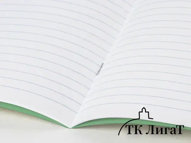Тетрадь BRAUBERG ВЕЛИКИЕ ИМЕНА, 18 л., линия, плотная бумага 80 г/м2, обложка тонированный офсет, 106979
