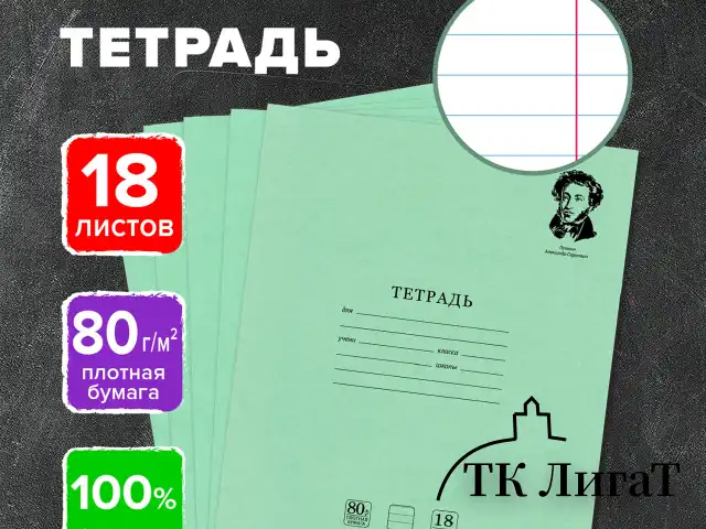 Тетрадь BRAUBERG ВЕЛИКИЕ ИМЕНА, 18 л., линия, плотная бумага 80 г/м2, обложка тонированный офсет, 106979