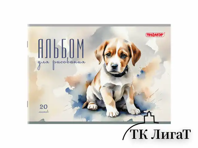 Альбом для рисования А4, 20 листов, скоба, обложка офсет, ПИФАГОР, 203х288 мм, "МИКС-2", 107103
