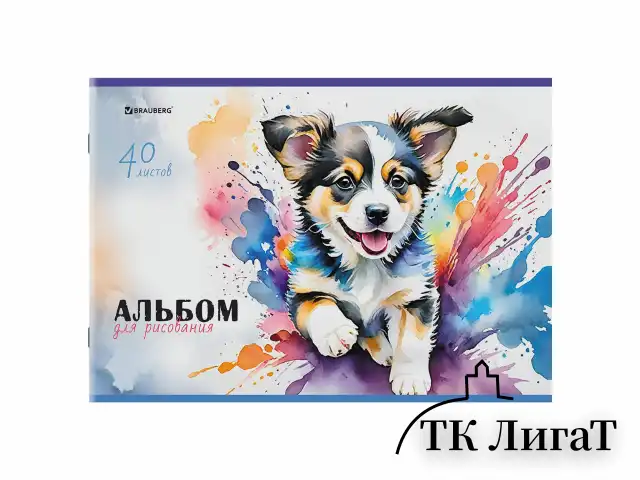 Альбом для рисования А4, 40 листов, скоба, обложка картон, BRAUBERG, 203х288 мм, "МИКС-1", 107114