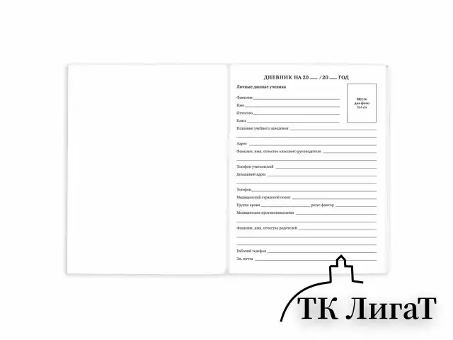 Дневник 1-11 класс 40 л., на скобе, ПИФАГОР, обложка картон, МИКС "Девочки", 107137