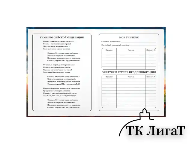 Дневник 1-4 класс 48 л., твердый, ЮНЛАНДИЯ, глянцевая ламинация, с подсказом, "Футбол", 107148