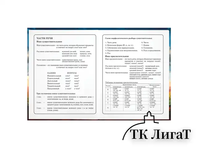 Дневник 1-4 класс 48 л., твердый, ЮНЛАНДИЯ, глянцевая ламинация, с подсказом, "Футбол", 107148