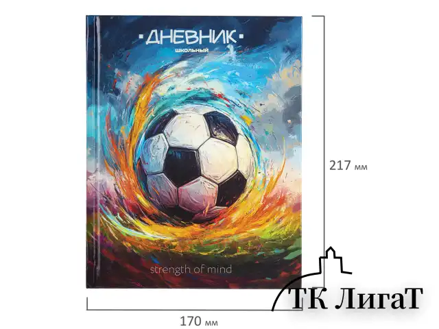 Дневник 1-4 класс 48 л., твердый, ЮНЛАНДИЯ, глянцевая ламинация, с подсказом, "Футбол", 107148