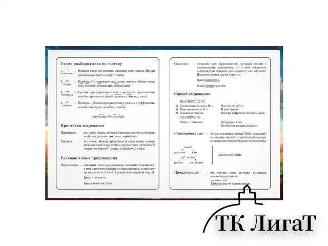 Дневник 1-4 класс 48 л., твердый, ЮНЛАНДИЯ, глянцевая ламинация, с подсказом, "Футбол", 107148