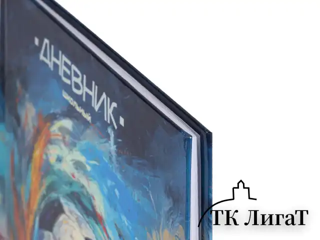 Дневник 1-4 класс 48 л., твердый, ЮНЛАНДИЯ, глянцевая ламинация, с подсказом, "Футбол", 107148