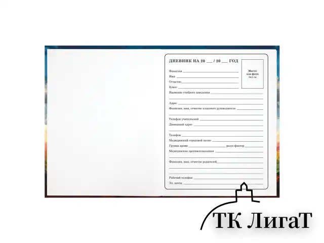Дневник 1-4 класс 48 л., твердый, ЮНЛАНДИЯ, глянцевая ламинация, с подсказом, "Футбол", 107148
