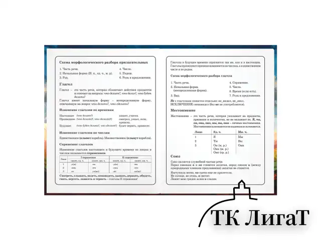 Дневник 1-4 класс 48 л., твердый, ЮНЛАНДИЯ, глянцевая ламинация, с подсказом, "Футбол", 107148