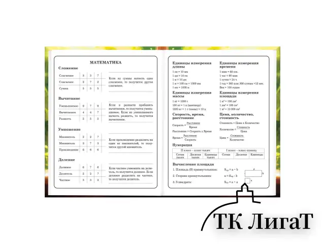 Дневник 1-4 класс 48 л., твердый, BRAUBERG, глянцевая ламинация, с подсказом, "Котик и арбузик", 107153