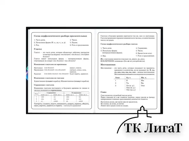 Дневник 1-4 класс 48 л., твердый, BRAUBERG, глянцевая ламинация, с подсказом, "Футбол", 107155