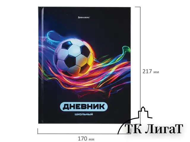 Дневник 1-4 класс 48 л., твердый, BRAUBERG, глянцевая ламинация, с подсказом, "Футбол", 107155