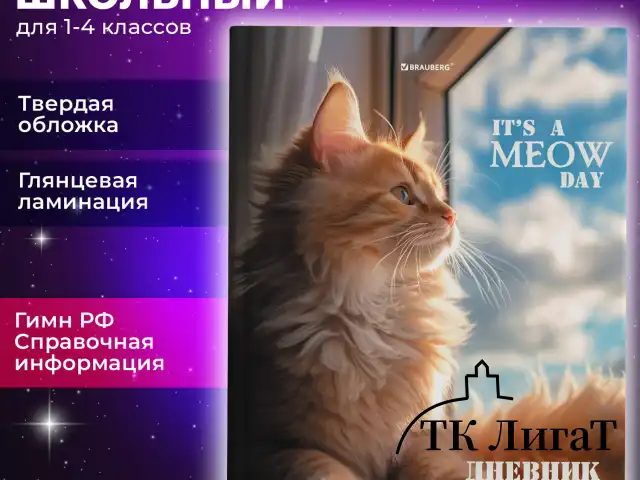 Дневник 1-4 класс 48 л., твердый, BRAUBERG, глянцевая ламинация, с подсказом, "Котик", 107156