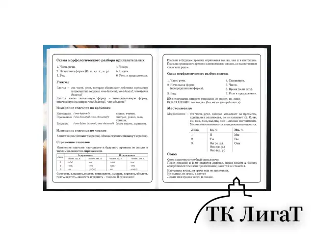 Дневник 1-4 класс 48 л., твердый, BRAUBERG, глянцевая ламинация, с подсказом, "Котик", 107156