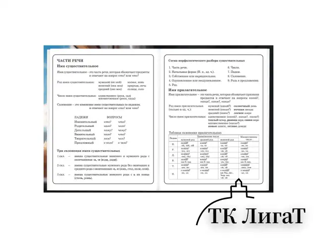 Дневник 1-4 класс 48 л., твердый, BRAUBERG, глянцевая ламинация, с подсказом, "Котик", 107156