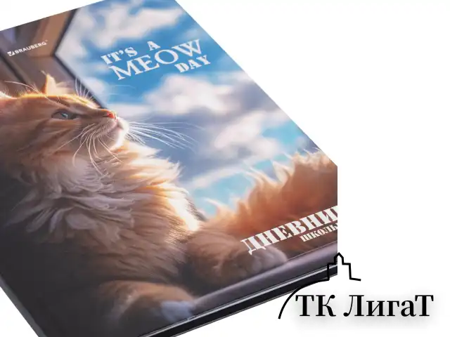 Дневник 1-4 класс 48 л., твердый, BRAUBERG, глянцевая ламинация, с подсказом, "Котик", 107156