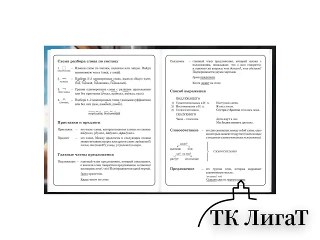 Дневник 1-4 класс 48 л., твердый, BRAUBERG, глянцевая ламинация, с подсказом, "Котик", 107156