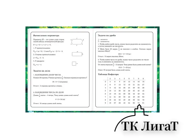 Дневник 1-4 класс 48 л., твердый, BRAUBERG, глянцевая ламинация, с подсказом, "Панда", 107158.