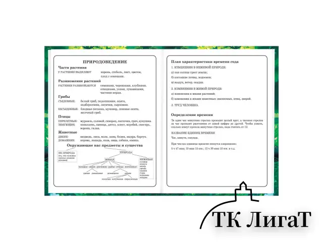 Дневник 1-4 класс 48 л., твердый, BRAUBERG, глянцевая ламинация, с подсказом, "Панда", 107158.