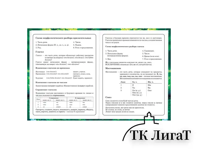 Дневник 1-4 класс 48 л., твердый, BRAUBERG, глянцевая ламинация, с подсказом, "Панда", 107158.