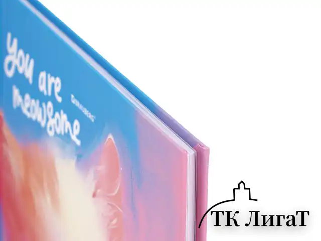 Дневник 1-4 класс 48 л., твердый, BRAUBERG, выборочный лак, с подсказом, "Котик", 107161