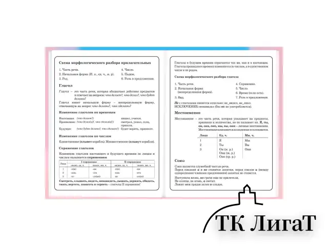 Дневник 1-4 класс 48 л., твердый, BRAUBERG, выборочный лак, с подсказом, "Котик", 107161