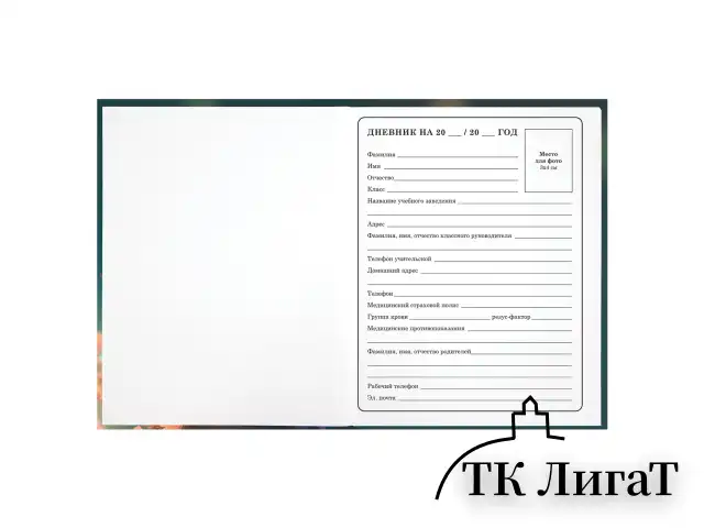 Дневник 1-4 класс 48 л., твердый, BRAUBERG, выборочный лак, с подсказом, "Ежик", 107162