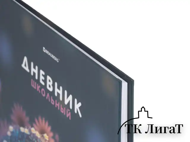 Дневник 1-4 класс 48 л., твердый, BRAUBERG, выборочный лак, с подсказом, "Ежик", 107162
