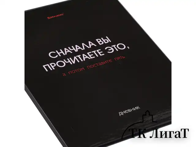 Дневник 5-11 класс 48 л., твердый, BRAUBERG, глянцевая ламинация, с подсказом, "Black", 107182