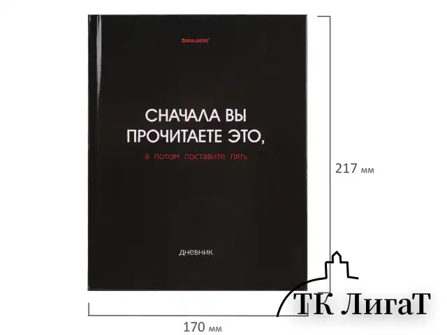 Дневник 5-11 класс 48 л., твердый, BRAUBERG, глянцевая ламинация, с подсказом, "Black", 107182