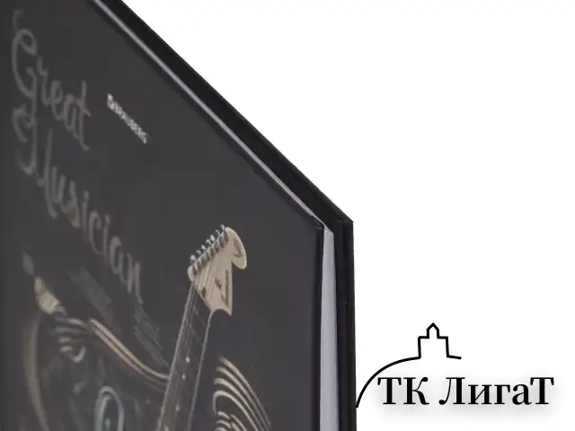 Дневник 5-11 класс 48 л., твердый, BRAUBERG, матовая ламинация, с подсказом, "Гитара", 107185