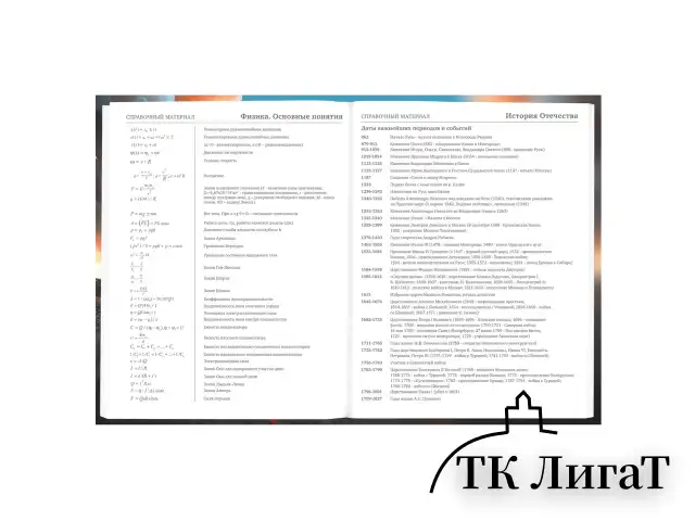 Дневник 5-11 класс 48 л., твердый, BRAUBERG, глянцевая ламинация, с подсказом, "Байк", 107186