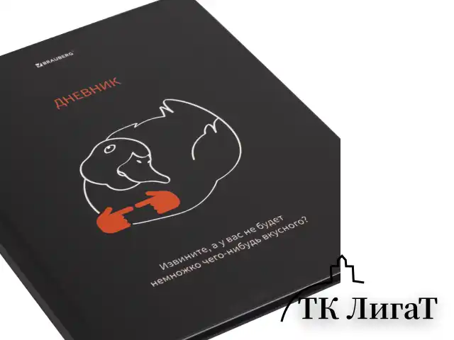 Дневник 5-11 класс 48 л., твердый, BRAUBERG, матовая ламинация, с подсказом, "Вкусняшки есть?", 107187