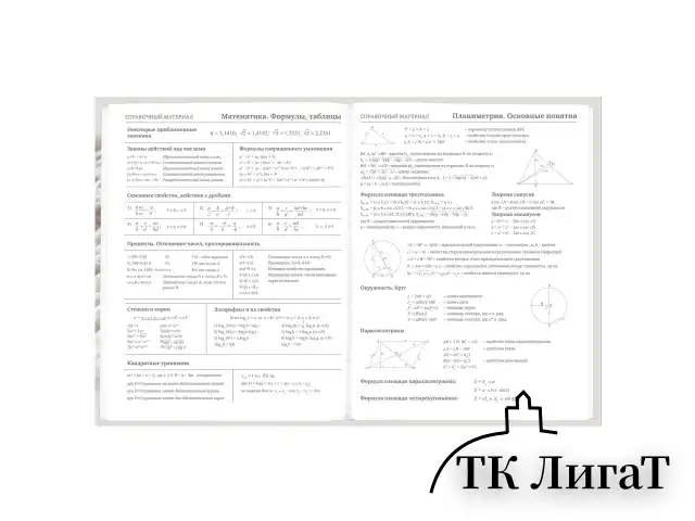 Дневник 5-11 класс 48 л., твердый, BRAUBERG, глянцевая ламинация, с подсказом, "Котик", 107188