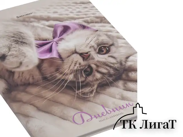 Дневник 5-11 класс 48 л., твердый, BRAUBERG, глянцевая ламинация, с подсказом, "Котик", 107188