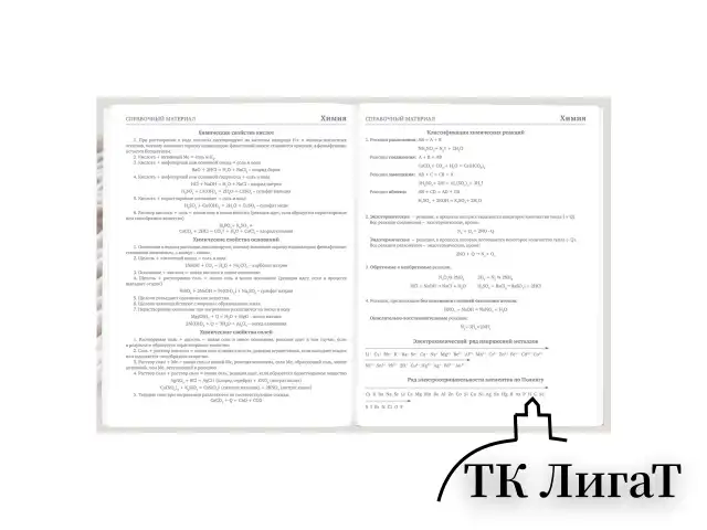 Дневник 5-11 класс 48 л., твердый, BRAUBERG, глянцевая ламинация, с подсказом, "Котик", 107188