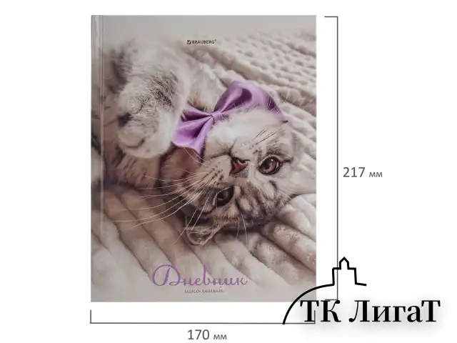 Дневник 5-11 класс 48 л., твердый, BRAUBERG, глянцевая ламинация, с подсказом, "Котик", 107188