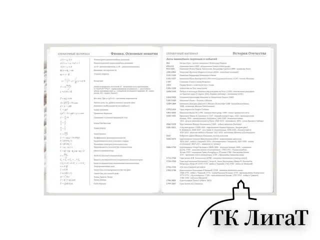 Дневник 5-11 класс 48 л., твердый, BRAUBERG, глянцевая ламинация, с подсказом, "Котик", 107188
