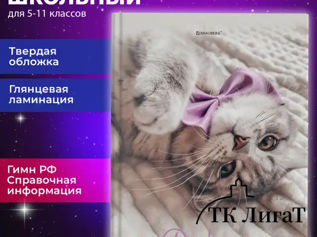 Дневник 5-11 класс 48 л., твердый, BRAUBERG, глянцевая ламинация, с подсказом, "Котик", 107188