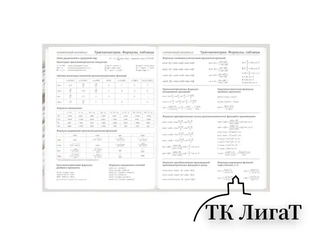 Дневник 5-11 класс 48 л., твердый, BRAUBERG, глянцевая ламинация, с подсказом, "Котик", 107188