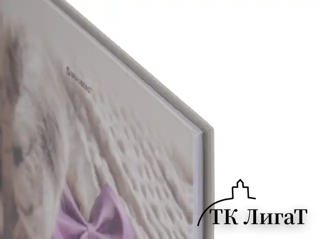 Дневник 5-11 класс 48 л., твердый, BRAUBERG, глянцевая ламинация, с подсказом, "Котик", 107188