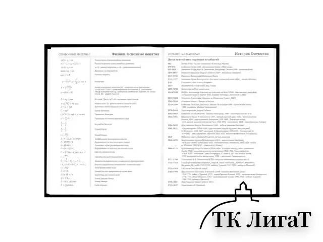 Дневник 5-11 класс 48 л., твердый, BRAUBERG, матовая ламинация, с подсказом, "Штош", 107190