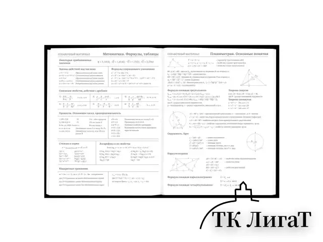 Дневник 5-11 класс 48 л., твердый, BRAUBERG, матовая ламинация, с подсказом, "Штош", 107190