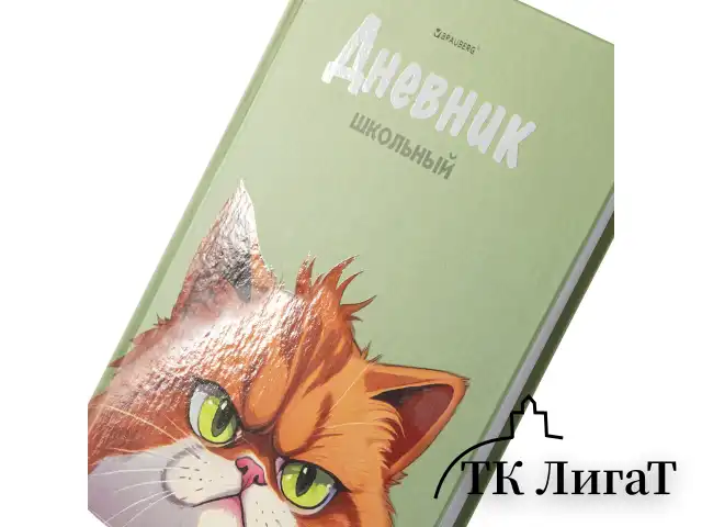 Дневник 5-11 класс 48 л., твердый, BRAUBERG, выборочный лак, с подсказом, "Суровый Кот", 107196