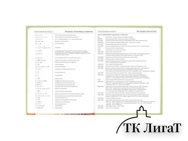 Дневник 5-11 класс 48 л., твердый, BRAUBERG, выборочный лак, с подсказом, "Суровый Кот", 107196