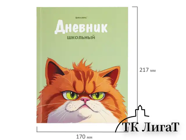 Дневник 5-11 класс 48 л., твердый, BRAUBERG, выборочный лак, с подсказом, "Суровый Кот", 107196