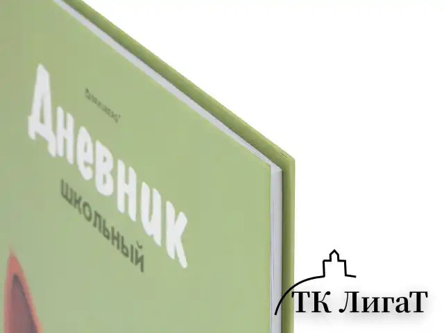 Дневник 5-11 класс 48 л., твердый, BRAUBERG, выборочный лак, с подсказом, "Суровый Кот", 107196