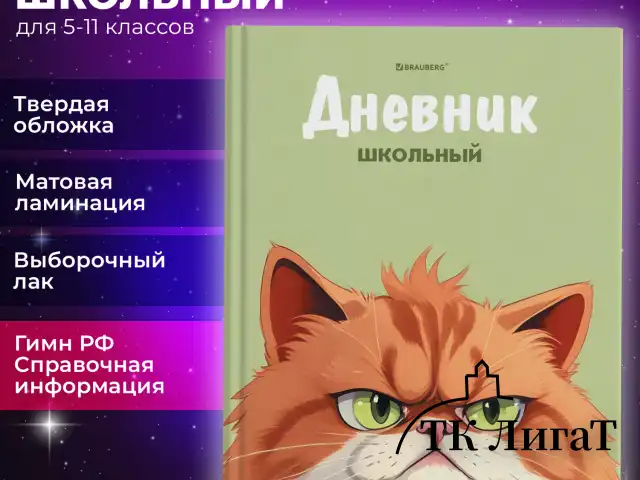 Дневник 5-11 класс 48 л., твердый, BRAUBERG, выборочный лак, с подсказом, "Суровый Кот", 107196