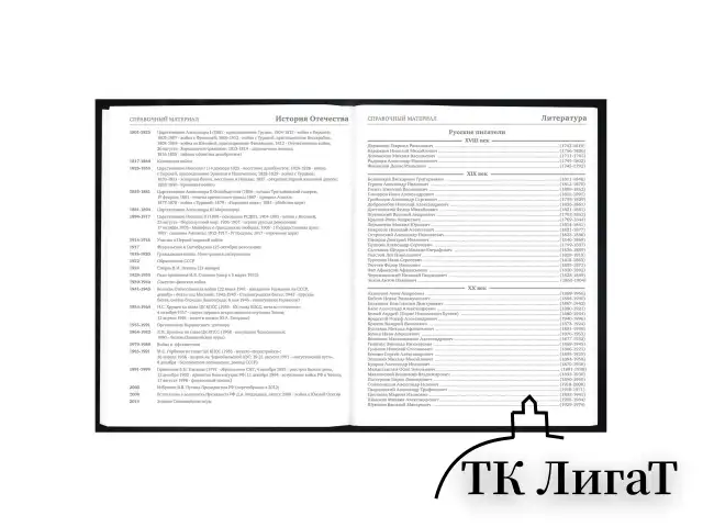 Дневник 5-11 класс 48 л., твердый, BRAUBERG, выборочный лак, с подсказом, "Волшебный кот", 107197