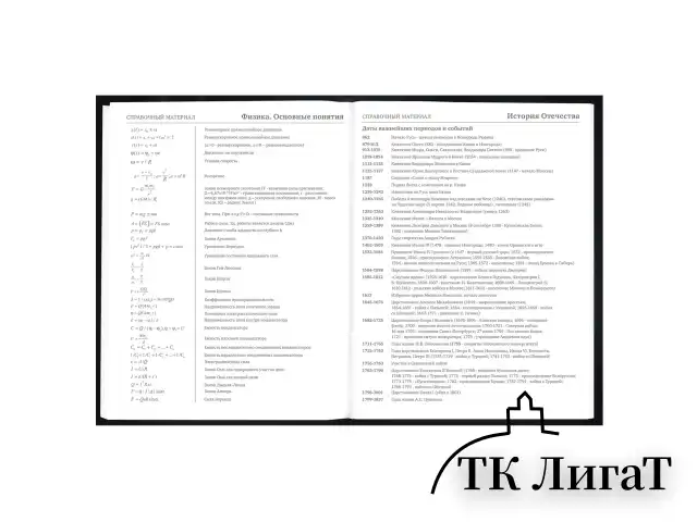 Дневник 5-11 класс 48 л., твердый, BRAUBERG, выборочный лак, с подсказом, "Волшебный кот", 107197