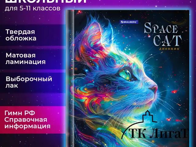 Дневник 5-11 класс 48 л., твердый, BRAUBERG, выборочный лак, с подсказом, "Волшебный кот", 107197